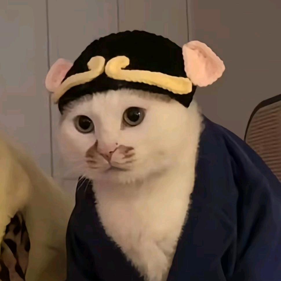 其实我是猴哥