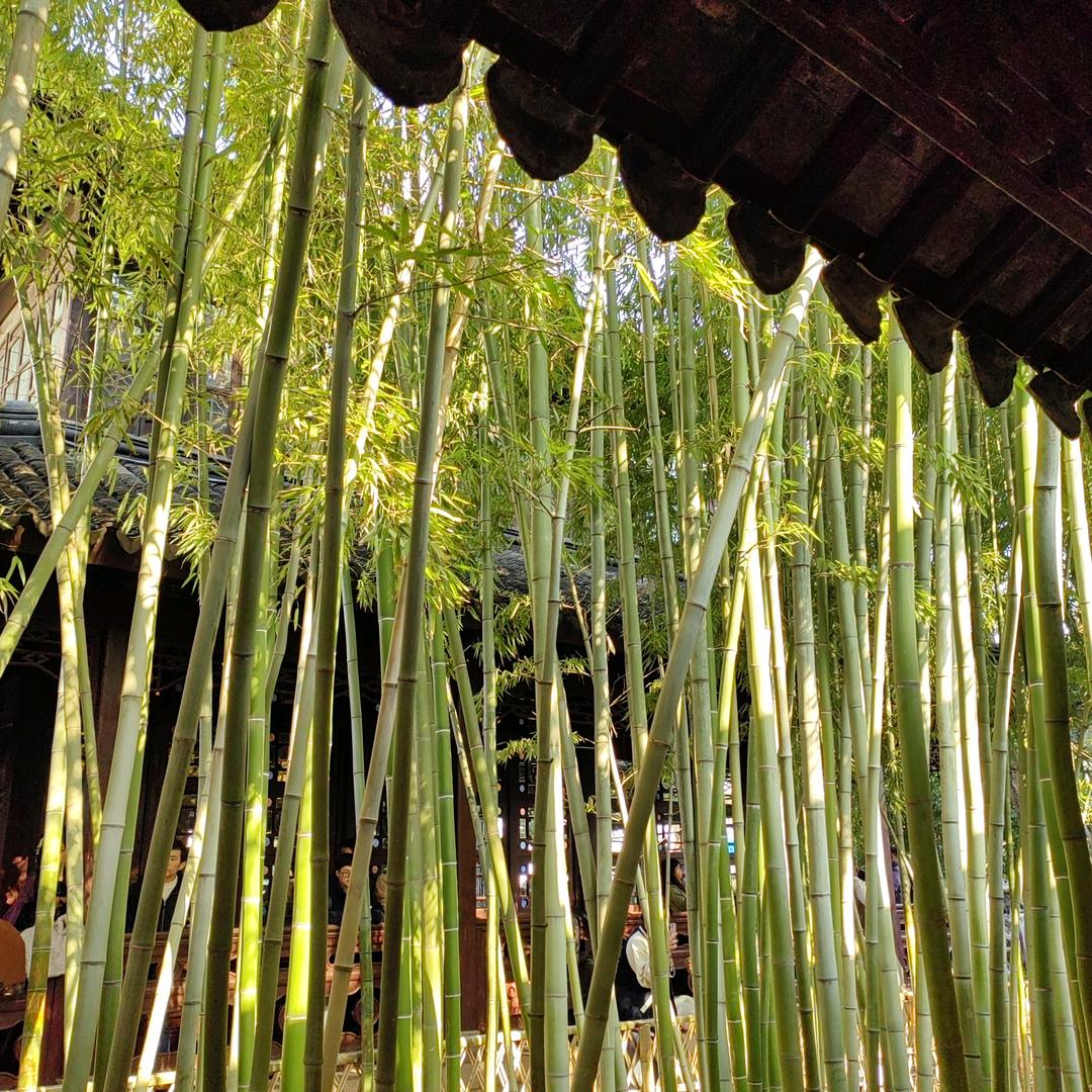 雨.