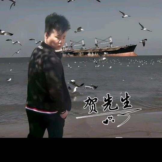 贺仔