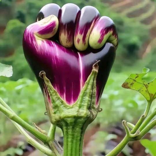 努力要靠自己9R098