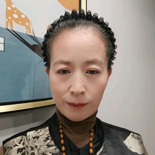 凤舞九天