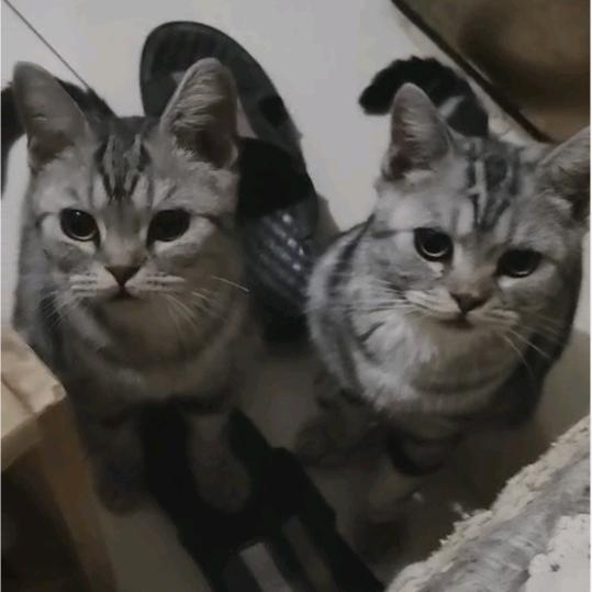 陌生人