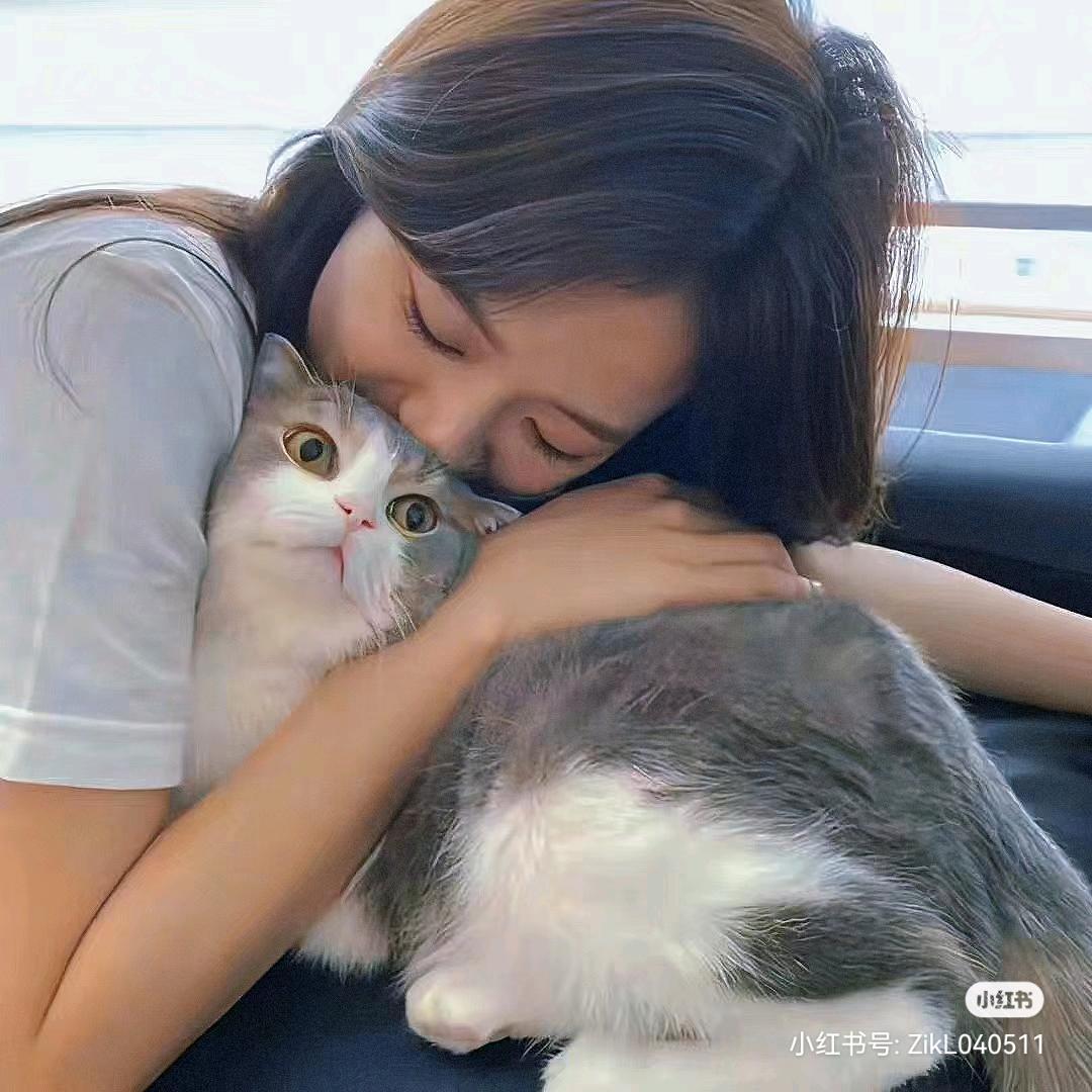 七～