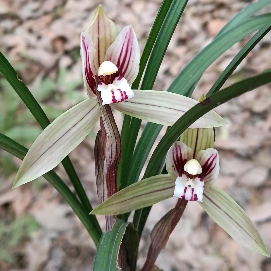 心宽悟透世间事 ，冷眼风流看人心