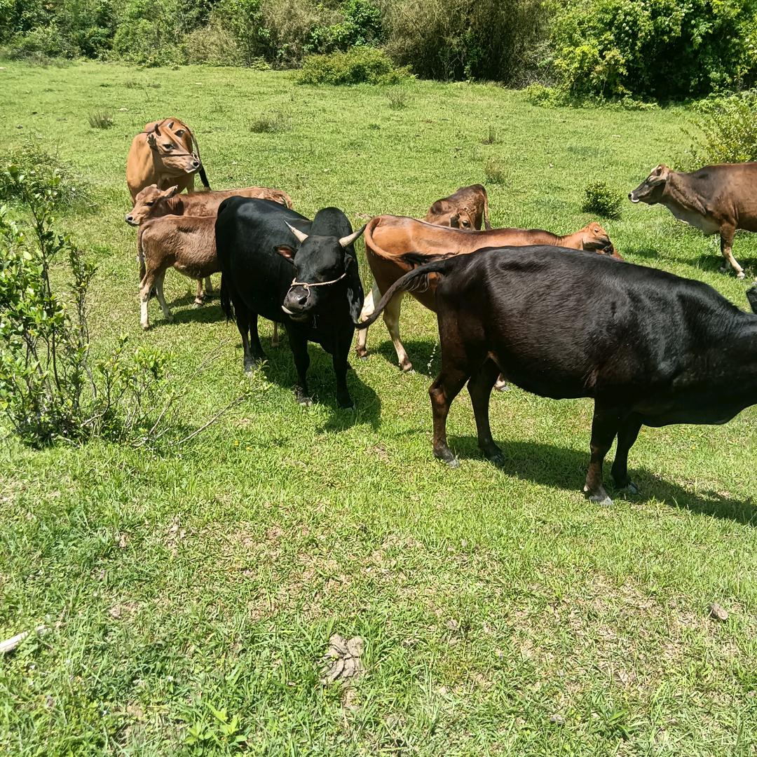 人生又多少年。