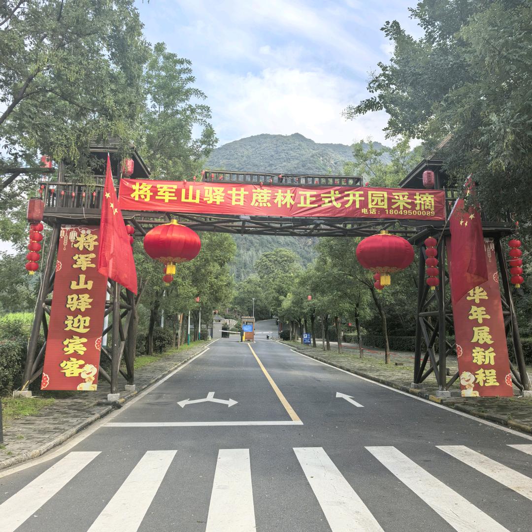 将军山驿甘蔗林