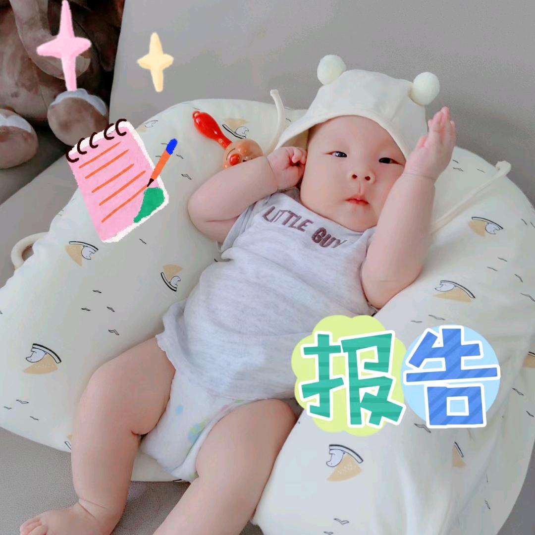 酷酷的果