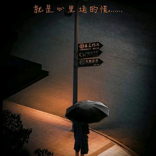 🥣在水中央