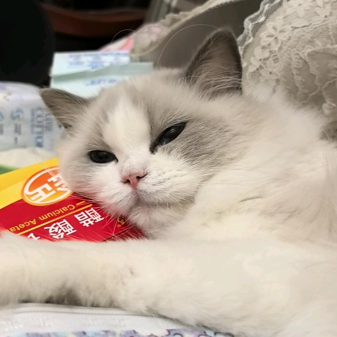 欣Dr.