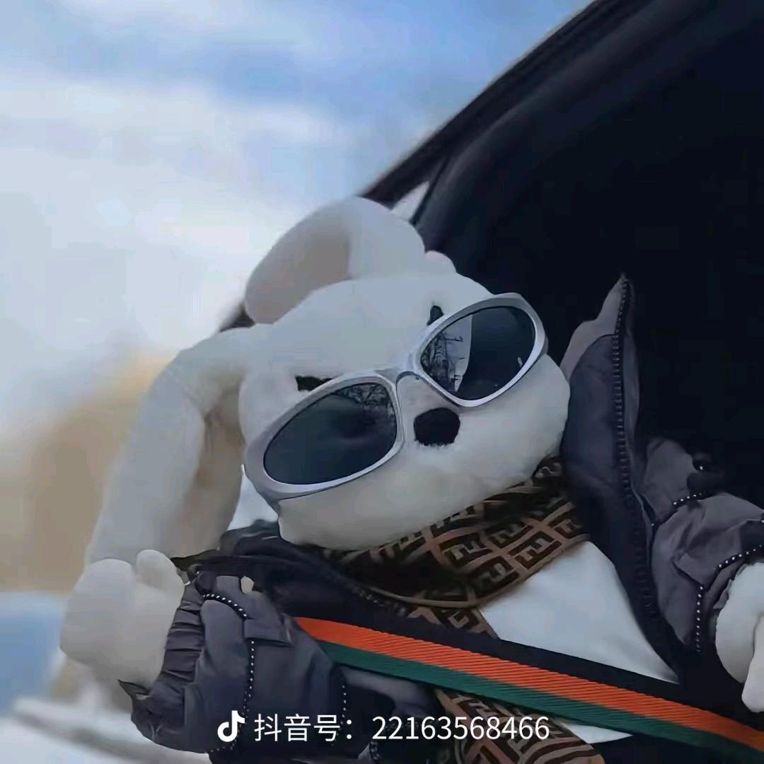 苏泼泼泼泼泼c