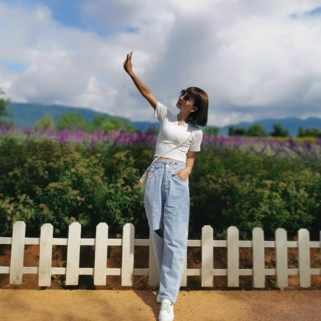 张慢美学