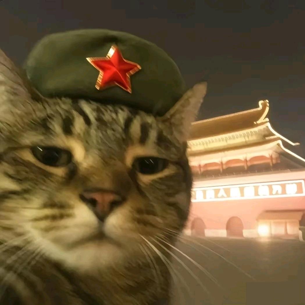 賢