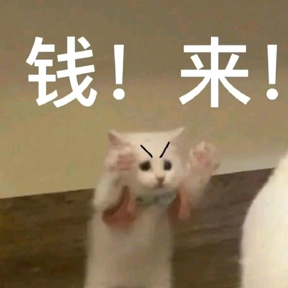 ﹌○﹌