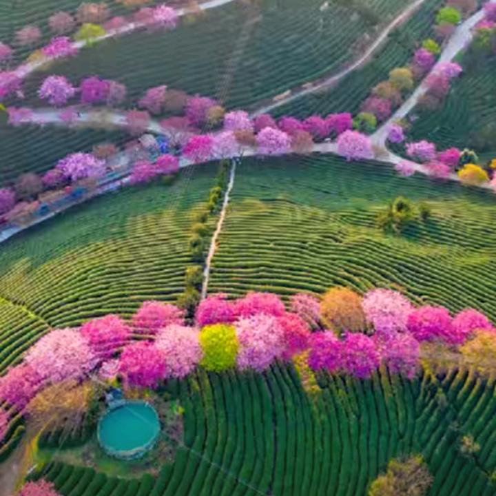 暖玉生烟~