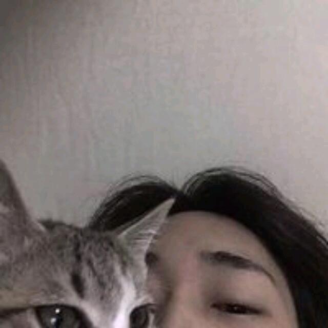 🐟1
