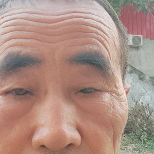 老杨好