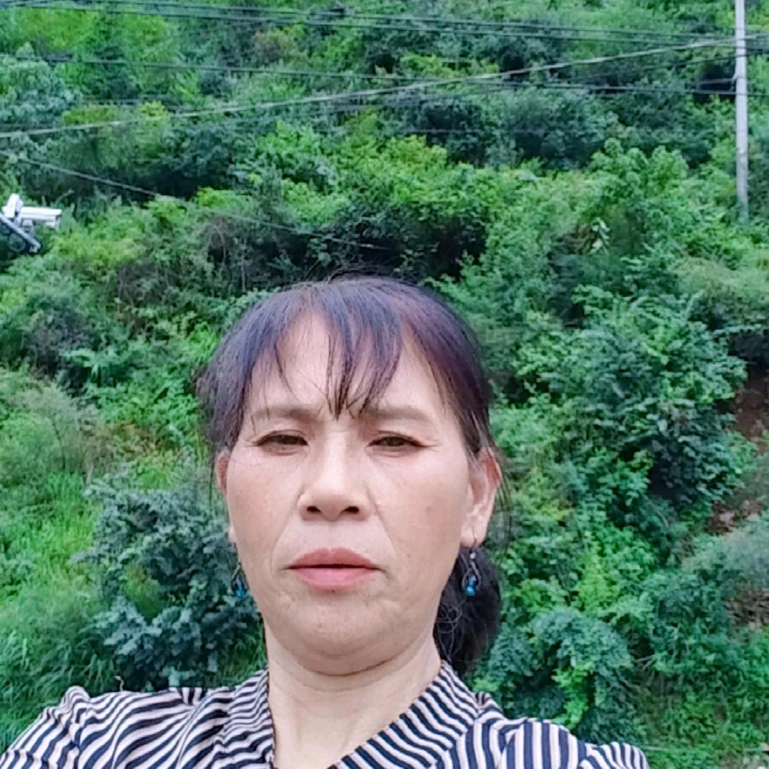 李小凤