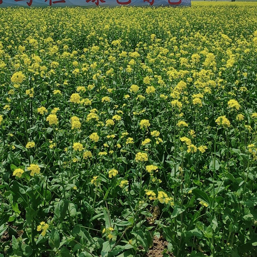 无忧无虑过好每一天