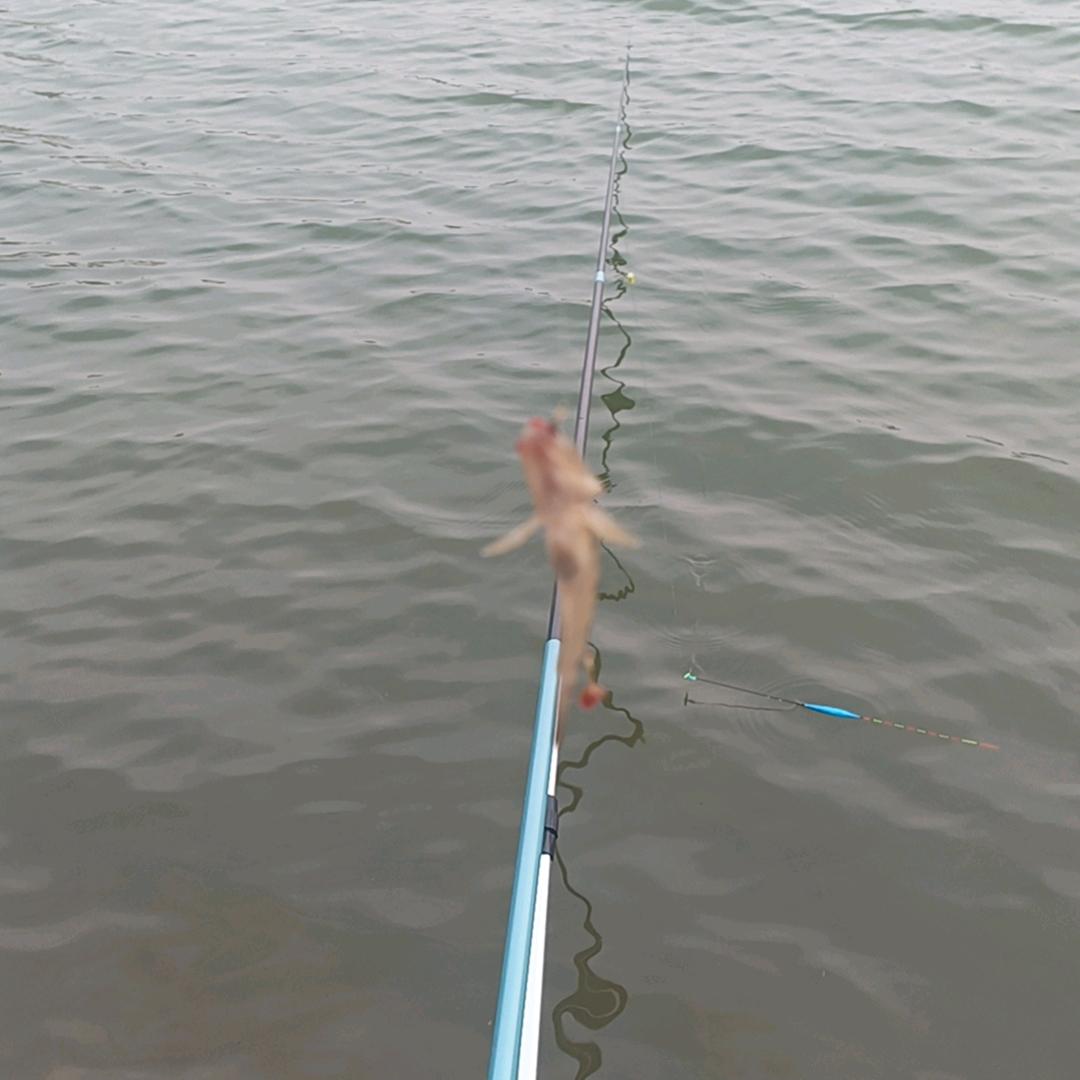 足疗喊个护士装结账医保花精光