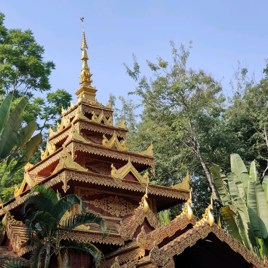 发呆的小绵羊🐑🐑