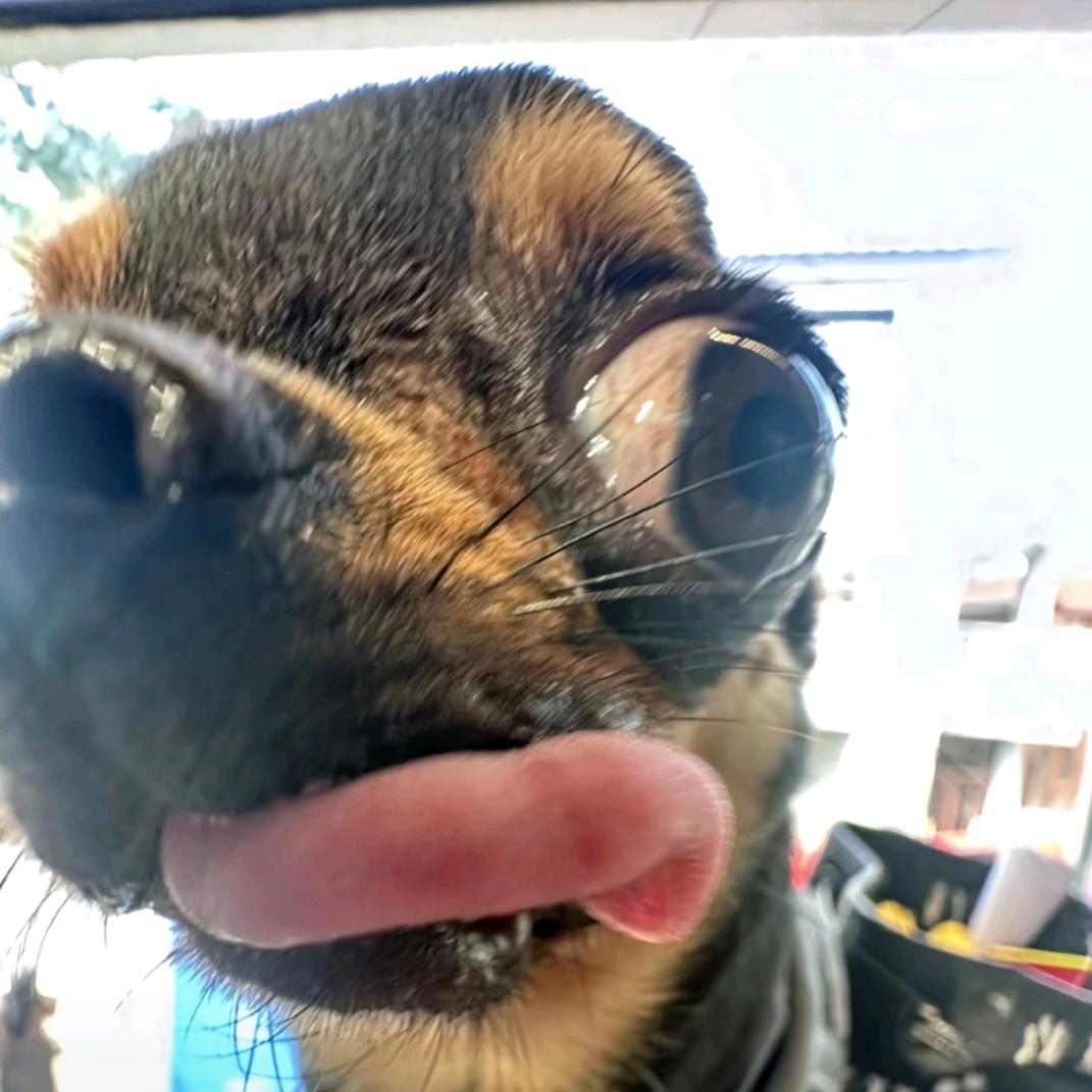 哇达西素大眼萌勾哇