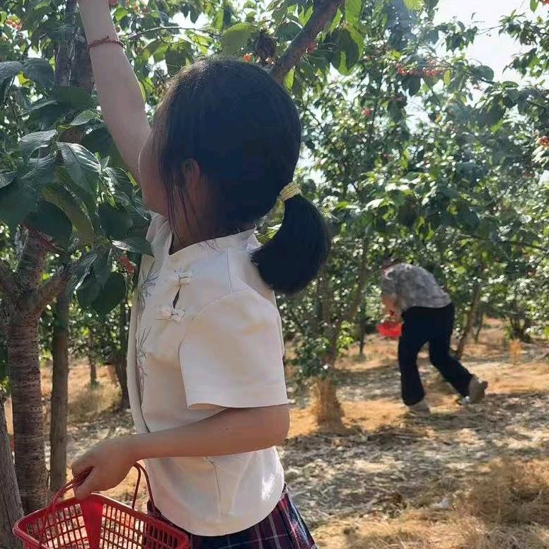 范五姐