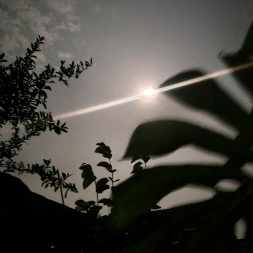 独自风中走，孤单当自由