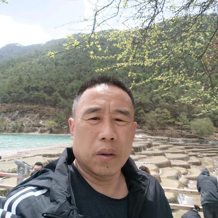 一夜春凤来