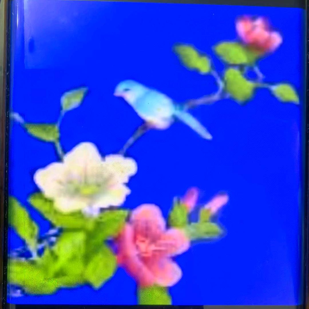 快乐一生丶朋友