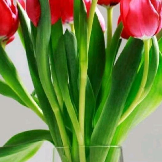 缘份让我们相遇相聚。