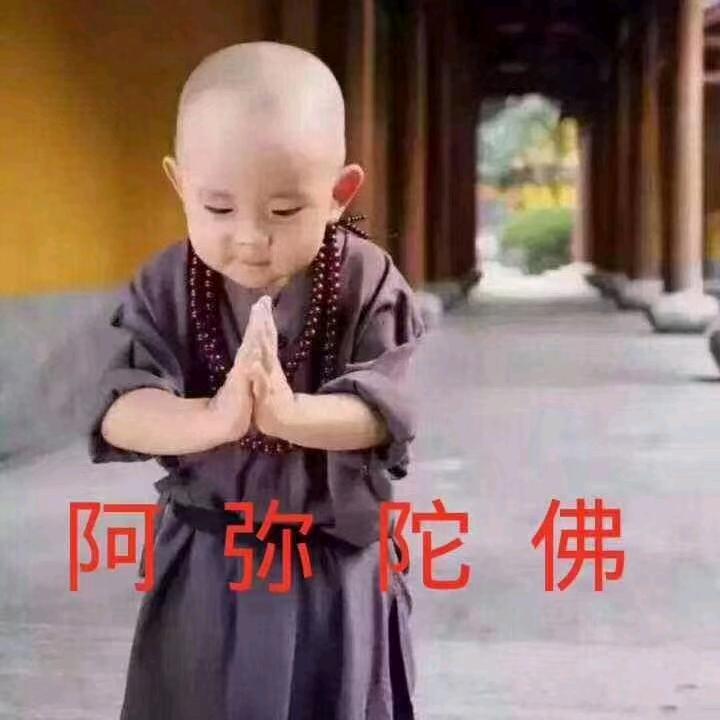 菩提树下修正果