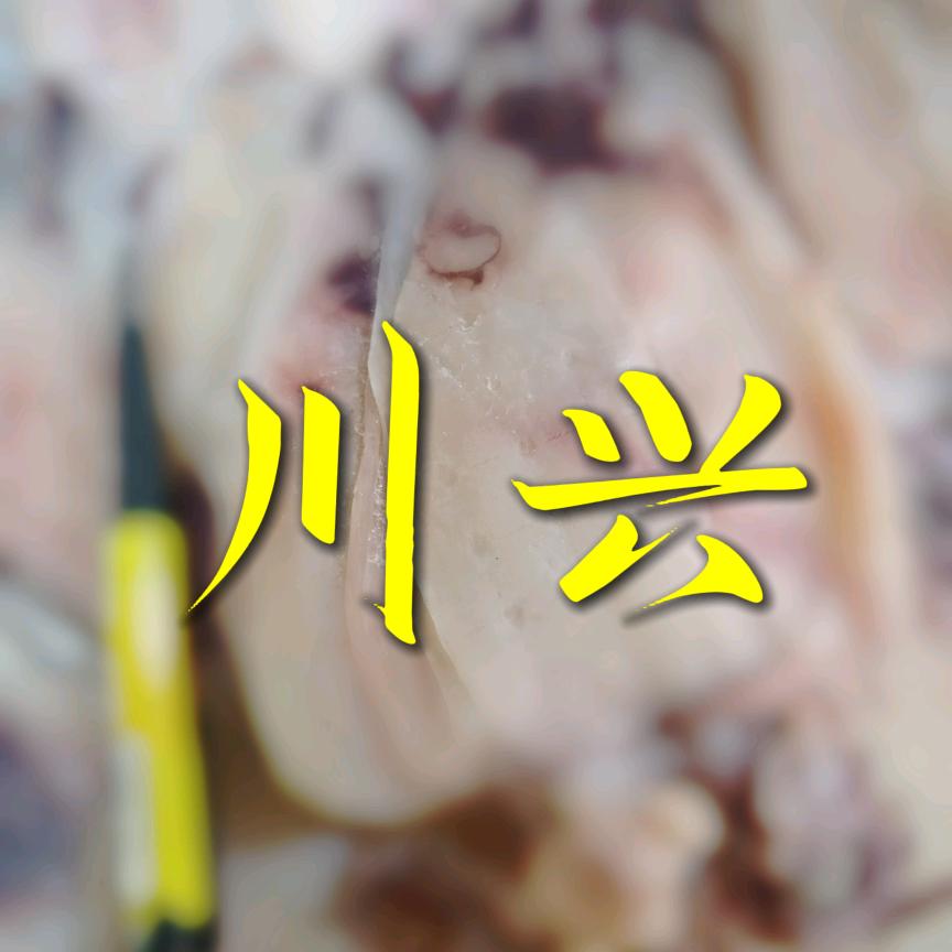 川兴干鲜店
