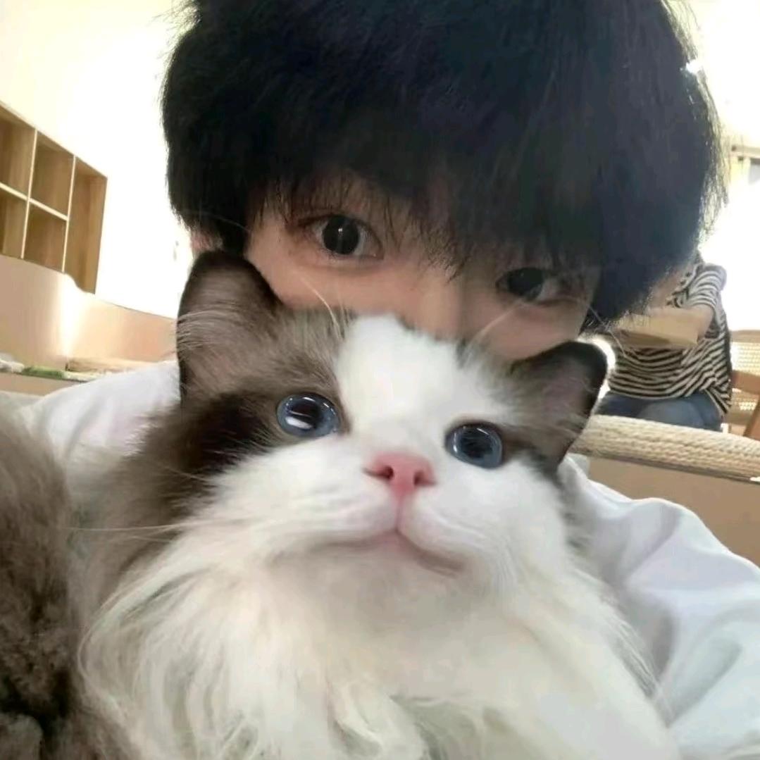 涵小霜霜霜