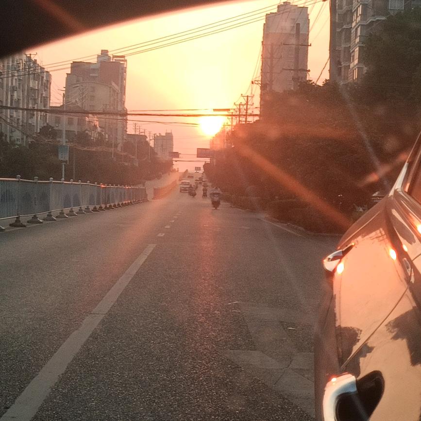 呆头呆脑很不好搞