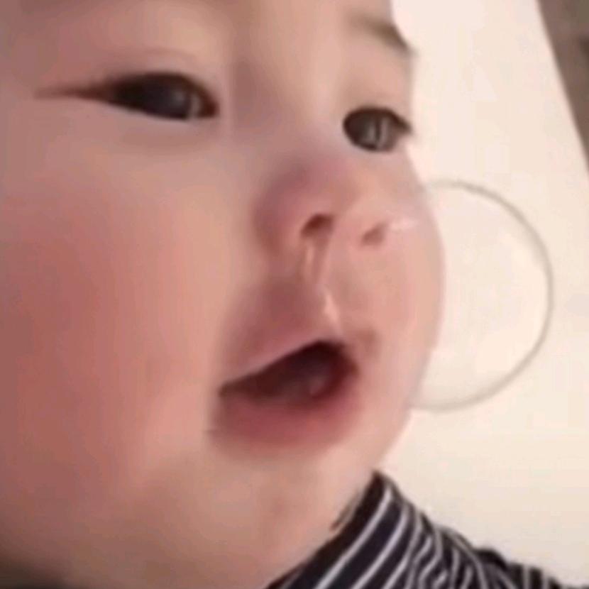 上九天揽月