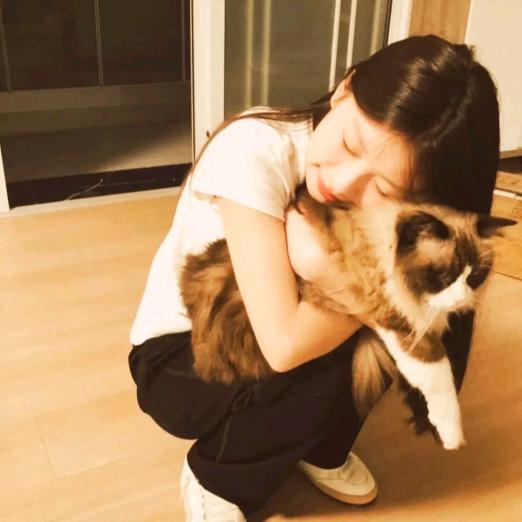 西伯利亚社恐大母猴.