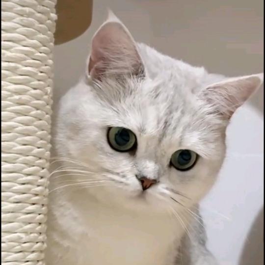 ༄༊拾柒ོ