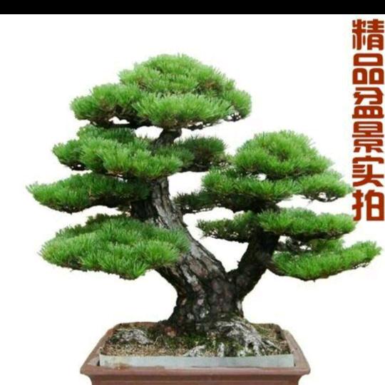 用户171801956415
