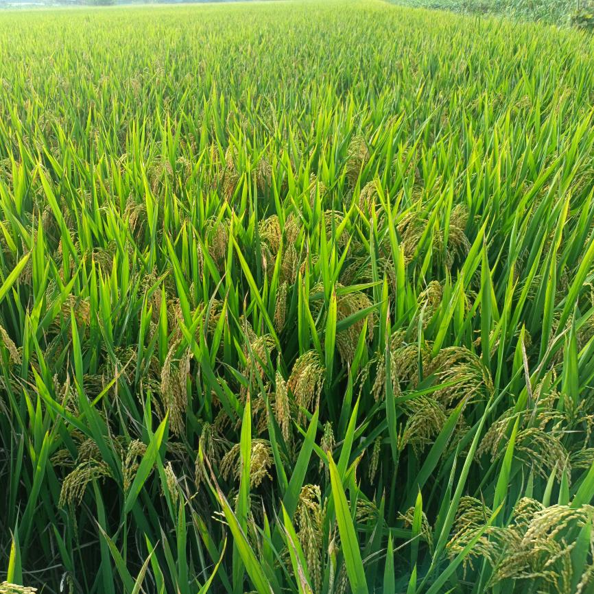 过好每一天（拒私聊）