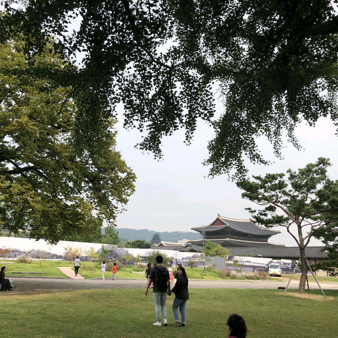 文武双全