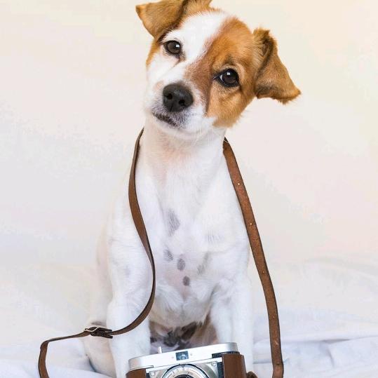 再见只是陌生人！