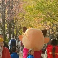 你好呀朋友