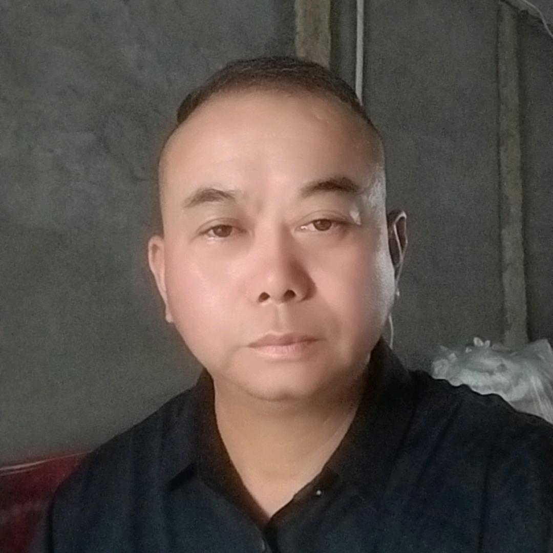 南飞