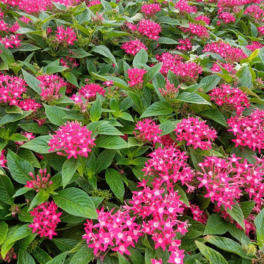 八零后
