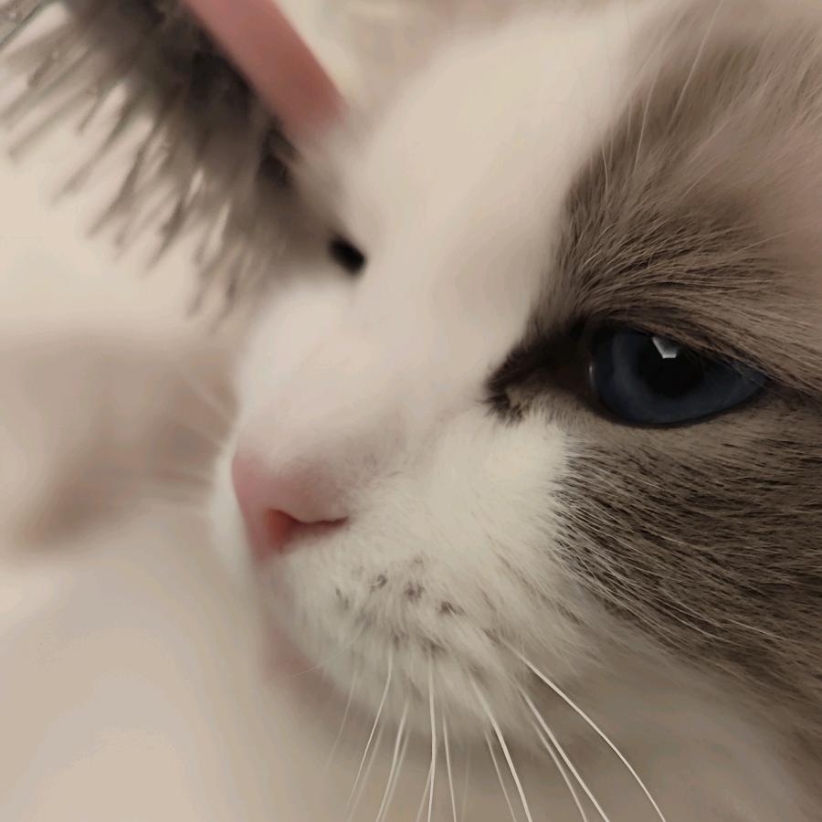 王青森