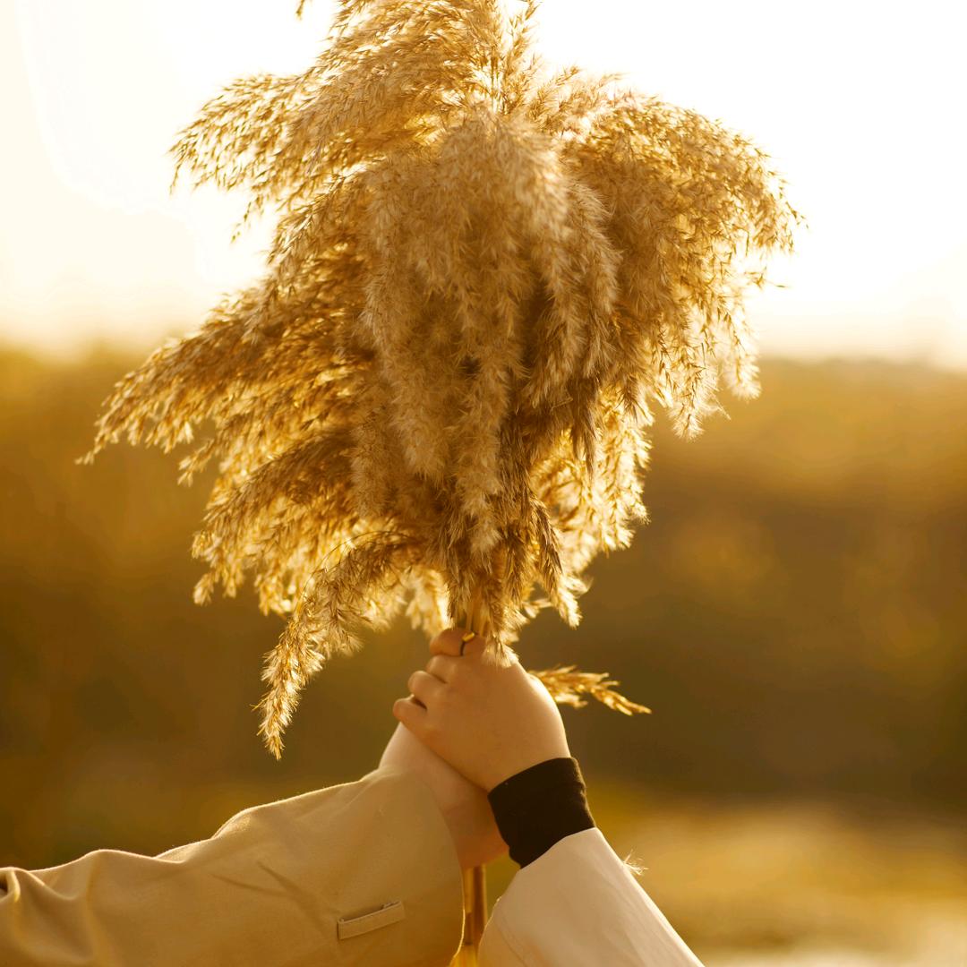 ℒᎭℯ晚风向南꧔