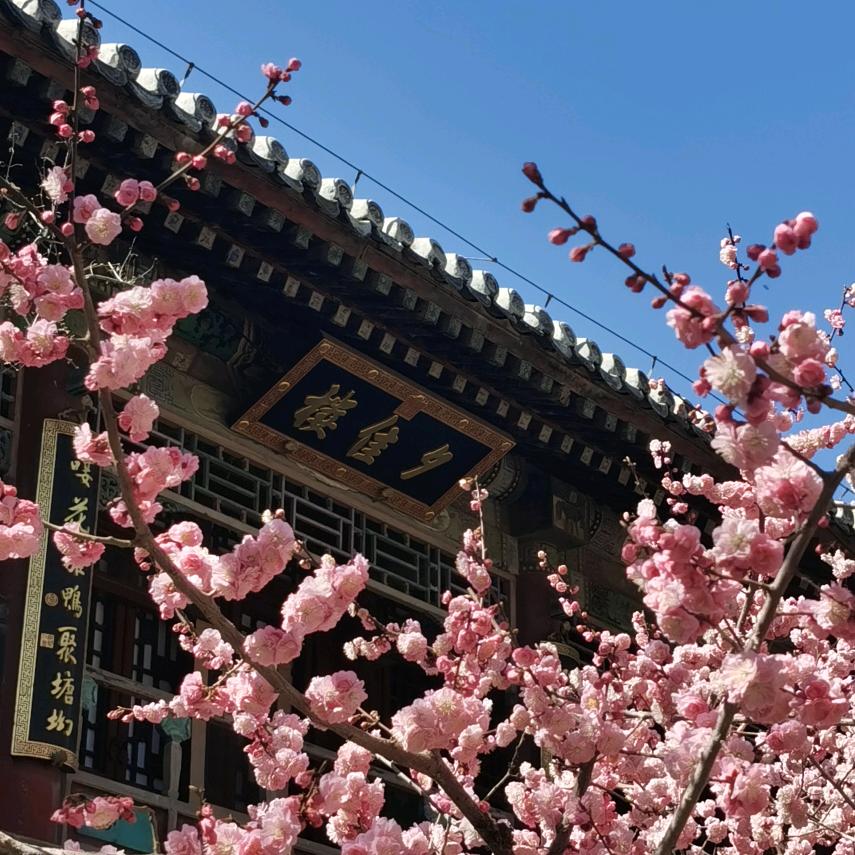 哦，我就是我