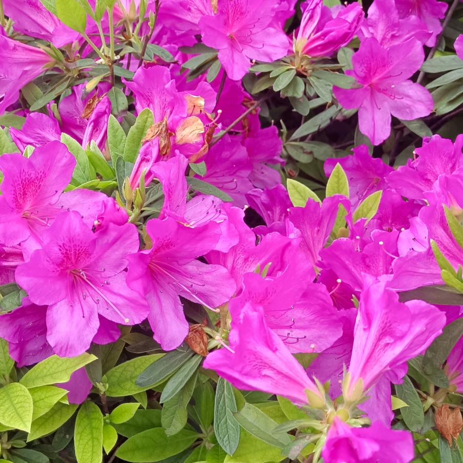 清风细雨(拒私聊)