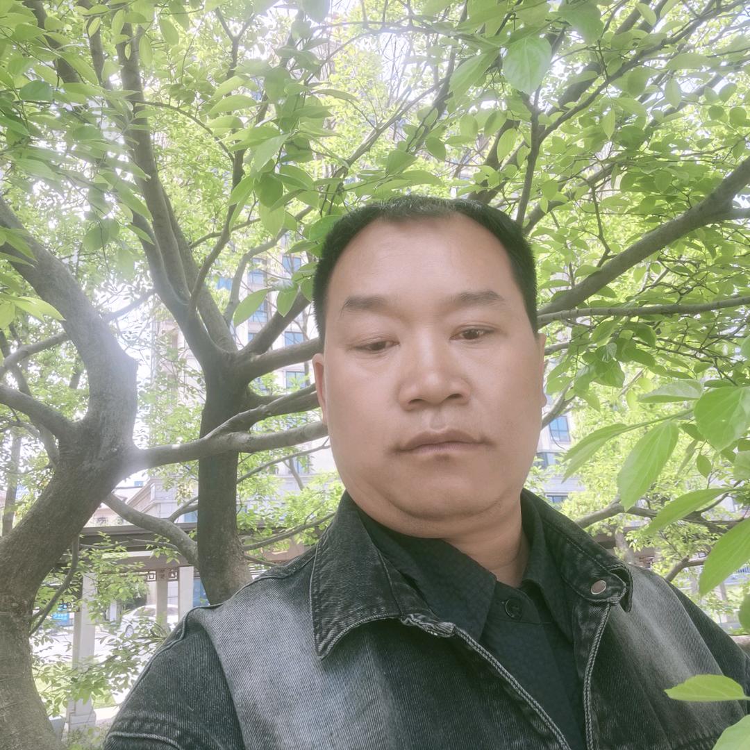 孤独和烈酒