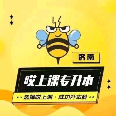 哎上课专升本石老师